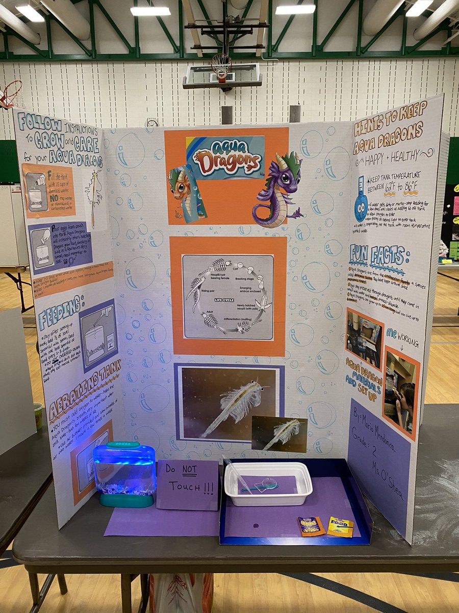 Loved visiting the science fair this afternoon! Thanks <a href="/MissPluymers/">Miss Pluymers</a> for another amazing year of science projects 🧬 🧪