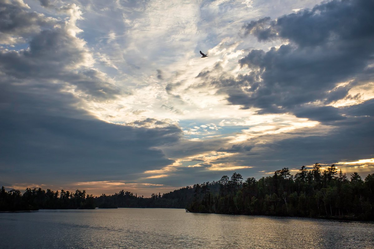 OntarioParksNE's tweet photo. It's summer holiday planning season!
The Temagami region is filled with @OntarioParks and Finlayson Point Provincial Park makes a great base to visit them and all the other attractions in the area!
https://t.co/iNlHXhULfM #DestinationTemagami https://t.co/67yYqu79H6