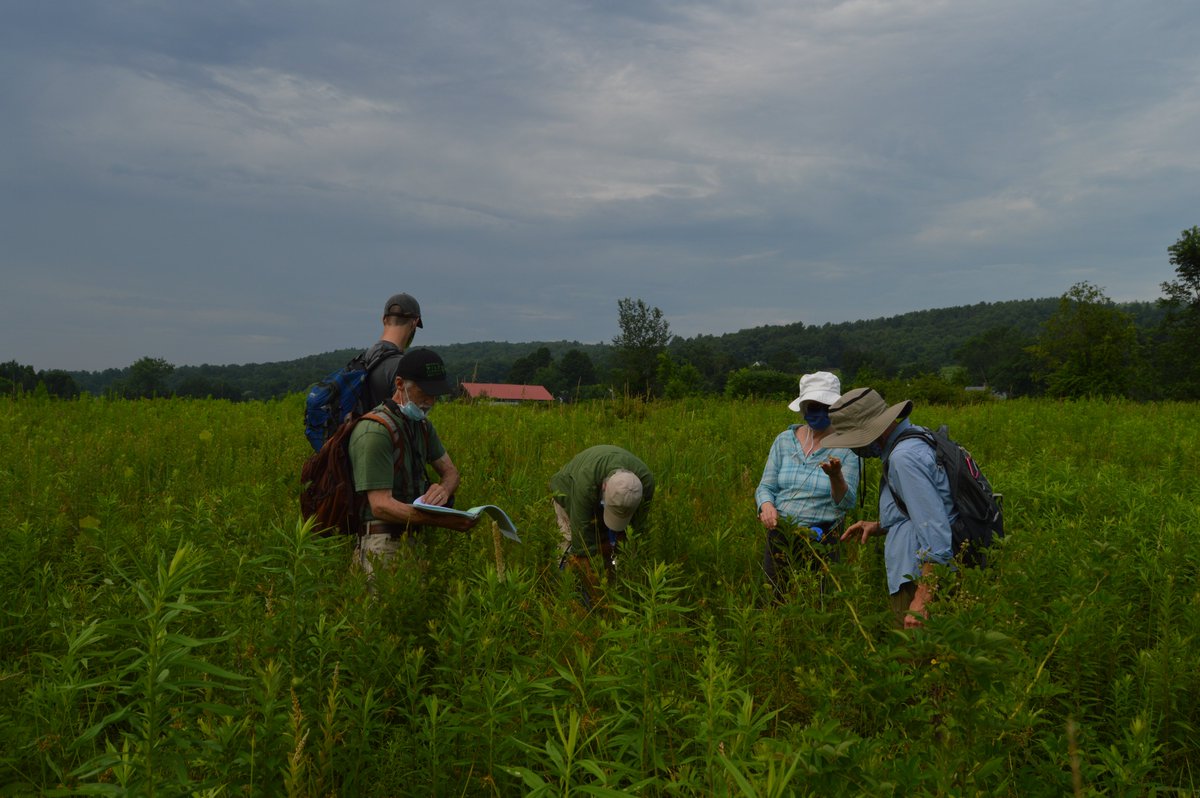 Job Opportunity 🌱 Community Science Coordinator at Native Plant Trust (position based in Wayland, MA). Come lead New England's rare plant monitoring  program and be my colleague! $55K-60K, applications due March 1. bit.ly/499ydEK

#conservationjobs #plantconservation