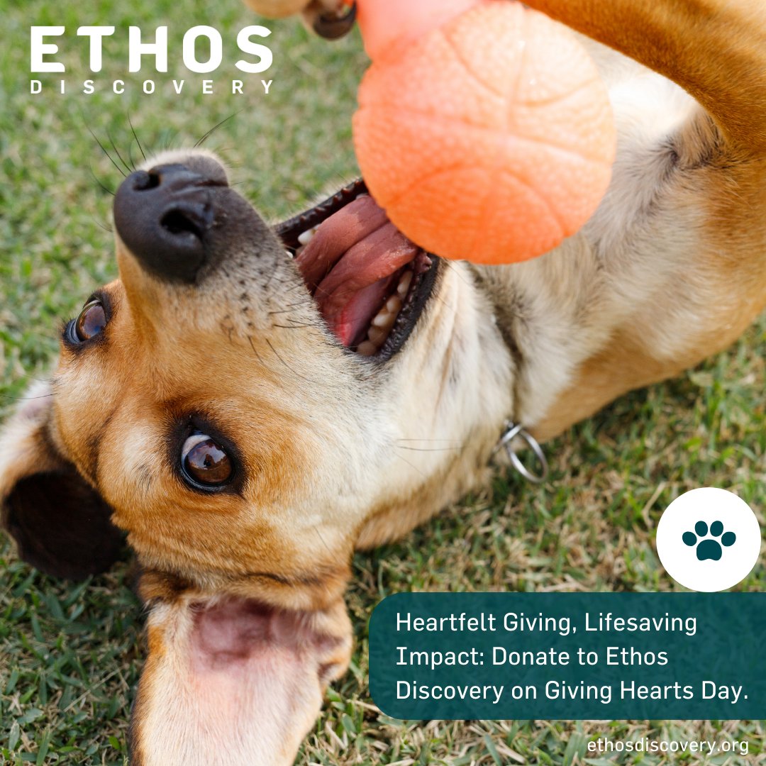 Our efforts began in oncology &amp; expanded to deliver innovations to all fields of vet med &amp; surgery. Our scientific portfolio includes Oncology, Emergency/Critical Care, Gastroenterology, Neurology, Innovations in Surgery &amp; Therapeutics. ow.ly/SqoV50QzN11. #ethosdiscovery