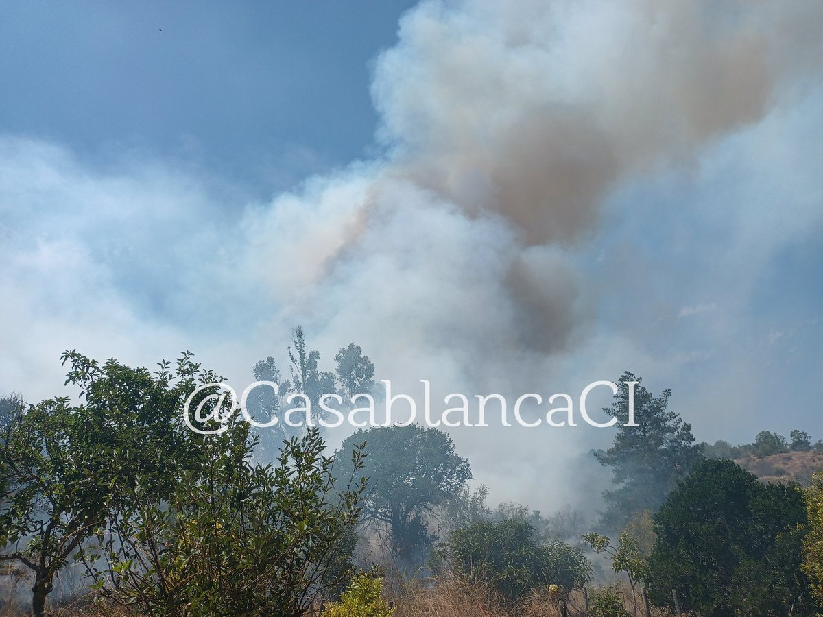 CasabIancaCI's tweet image. #Casablanca #IF #Fundo #Quebradilla fuera de control , #alerta #Roja @INF0SCHILE @ChileInfo5 @djgraff_German @primera1949