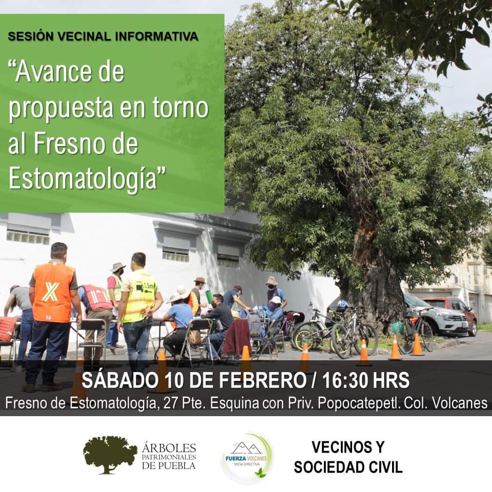 El valor de los #ÁrbolesPatrimoniales
La #GestiónColectiva del #EspacioPúblico representa un importante elemento de apoyo para la construcción de #CiudadesSostenibles, #CiudadesHabitables.  
🙂🌳🐝🦋🐞🌳🥀🌷🌻