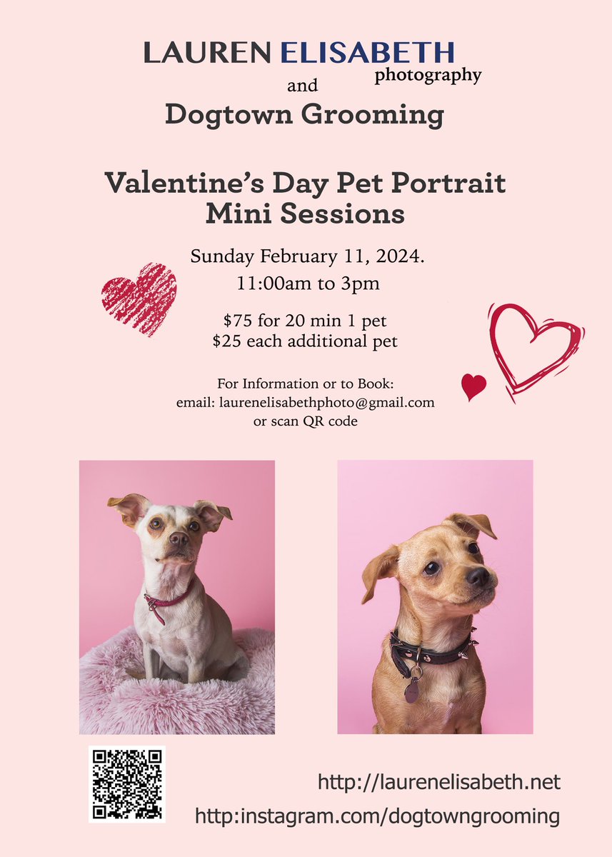 Dog People in Los Angeles! Have a few spots open for pet portrait sessions this Sunday. Message me for details or to book your spot! #dogportraits #losangeles