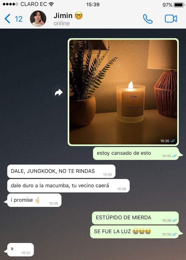 — mafi aus ⭑ tweet media