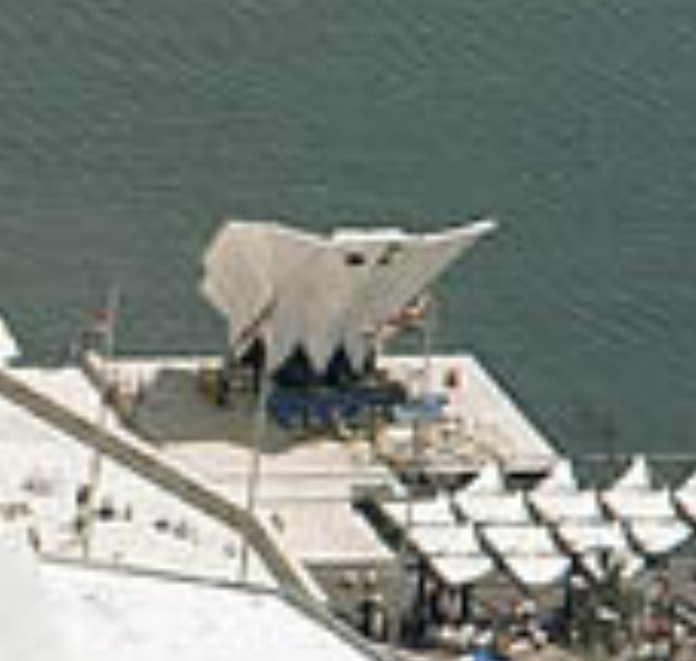 Wild Margate tweet media