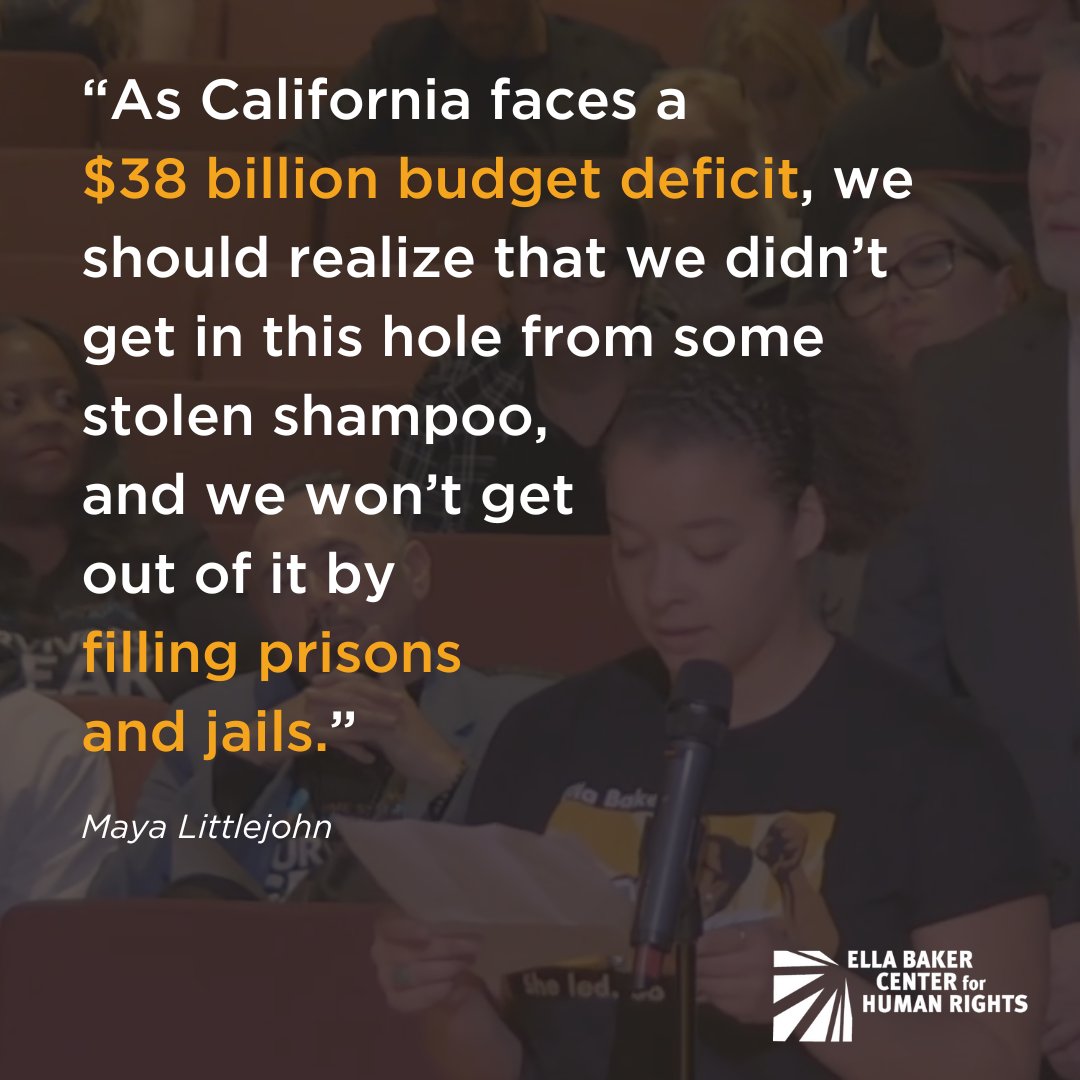 Today, we joined dozens of grassroots organizations, residents, &amp; retail workers in telling the Select Cmte on Retail Theft that CA cannot go backward — we need #SmartSolutions. 

❌❌This committee’s legacy cannot be that it was the instigator of another tough-on-crime era.❌❌