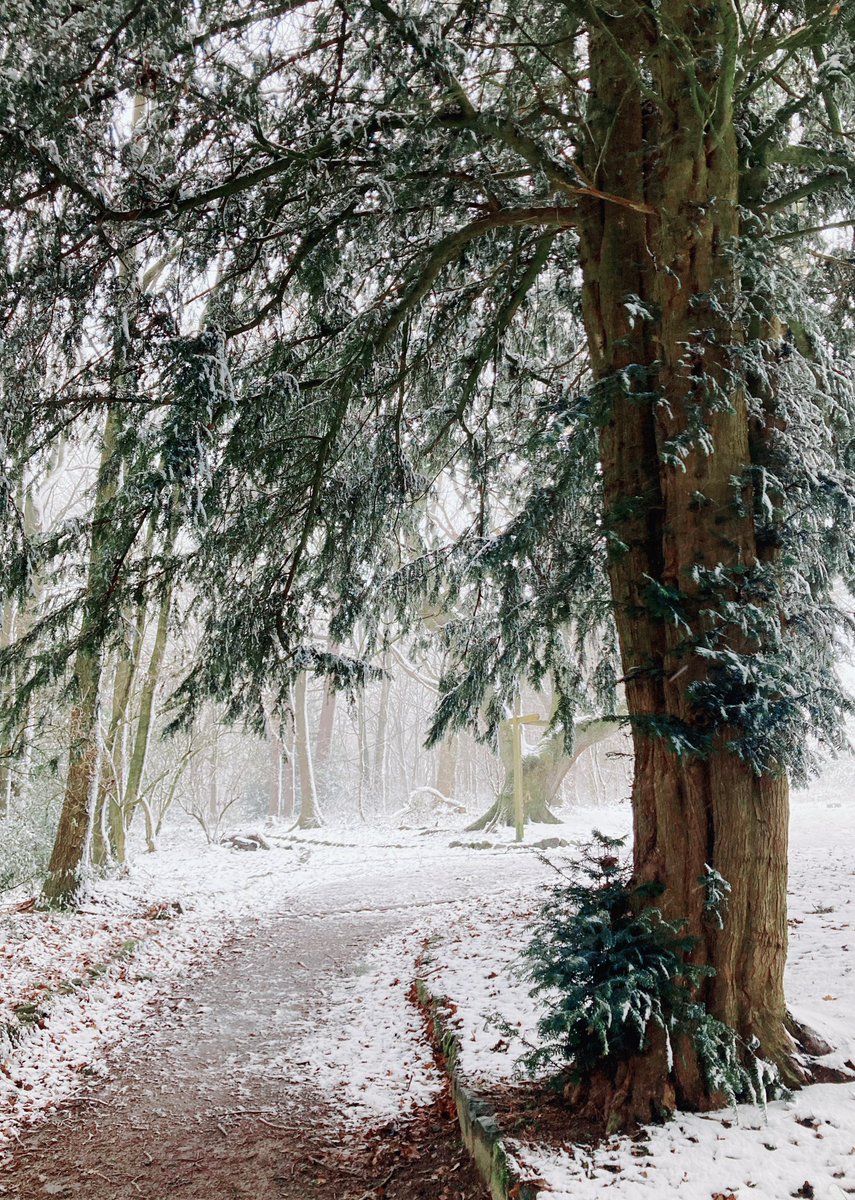 Prince of Wales Park, Bingley, yesterday. 
🌳🤍✨🤩
#Wellbeing  #natureconnection 
#WINTER #snowfall
