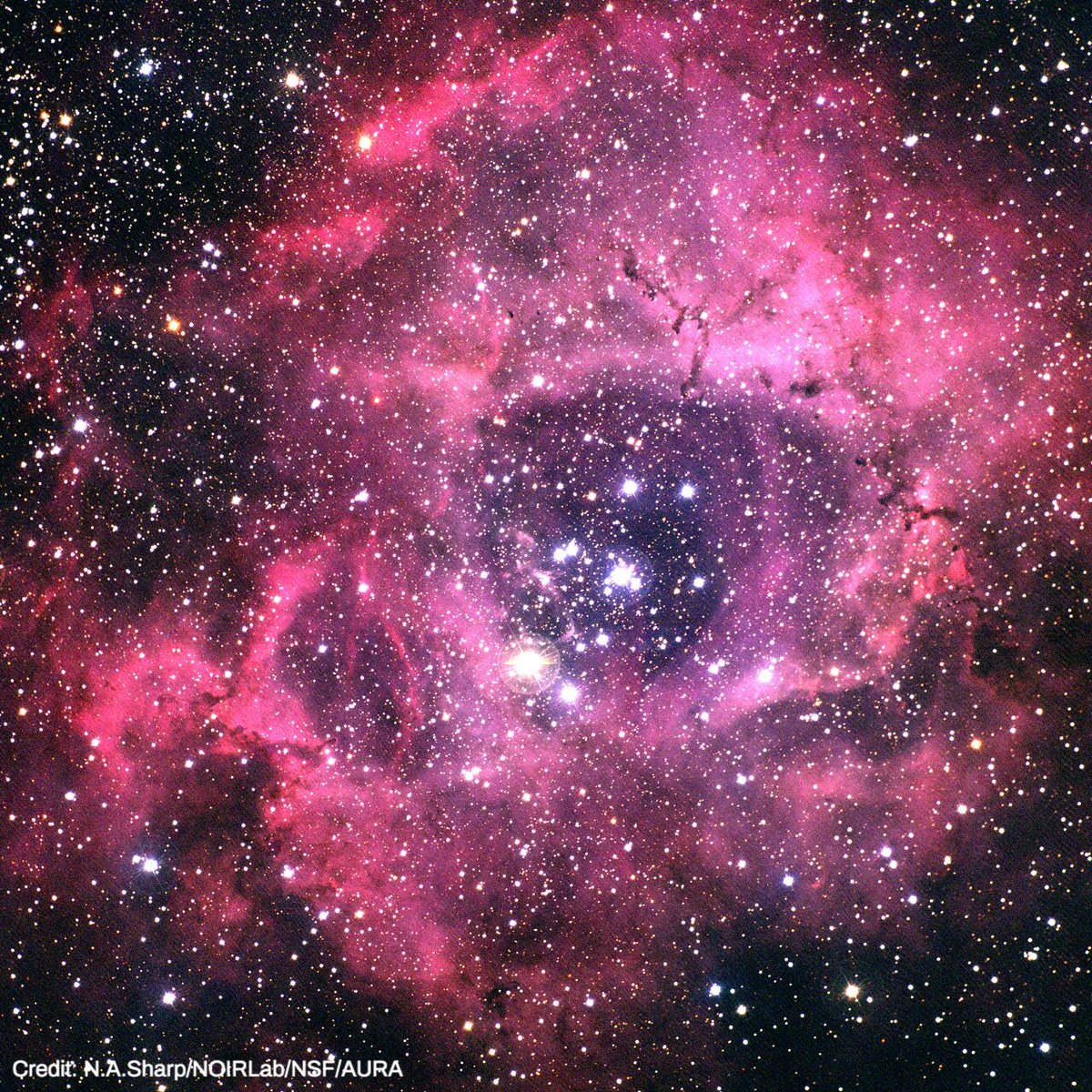 stardate's tweet photo. Most stars are born in giant, colorful clouds of gas and dust. One example is the Rosette Nebula, which looks like a rose. It’s in Monoceros, the unicorn, which is in the south-southeast at nightfall, to the lower left of much brighter Orion. https://t.co/4L8lN1grMD