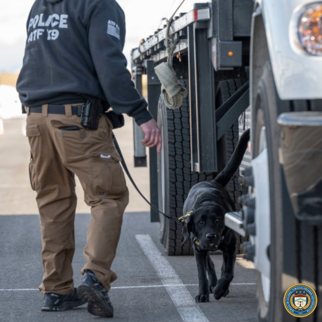 Keeping Super Bowl LVIII safe one sniff at a time! Shoutout to our amazing ATF Special Agent K-9 Handlers and their #ExplosiveDetectionK9s for working tirelessly to protect patrons and participants during this exciting weekend. atf.gov/about/explosiv… #TrustYourDog #WeAreATF