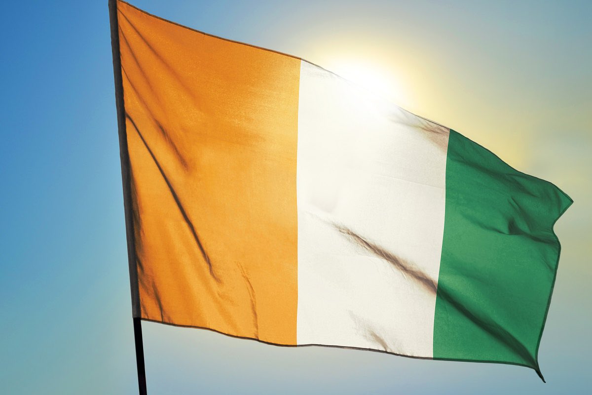 ActuFootAfrique's tweet photo. 𝗟𝗔 𝗠𝗘𝗜𝗟𝗟𝗘𝗨𝗥𝗘 𝗖𝗔𝗡 𝗗𝗘 𝗟’𝗛𝗜𝗦𝗧𝗢𝗜𝗥𝗘. 🇨🇮🥳

Les pelouses de tous les stades tout au long de cette #CAN2023, parfaites. 😮‍💨

La CAN la plus prolifique en terme de buts (+115). ⚽️

Des surprises, y en a eu beaucoup trop. (🇨🇻🇦🇴🇳🇦🇿🇦🇲🇷🇨🇩) 

Le Sénégal 🇸🇳 tenant du titre qui sort en 1/8 de finale, Le Maroc 🇲🇦 1/2 finaliste de la dernière Coupe du Monde en 1/8 face à l’Afrique du Sud. 😤

L’Algérie 🇩🇿, la Tunisie 🇹🇳 et le Ghana 🇬🇭 qui sortent en poules. 🤯

Guinée-Équatoriale 🇬🇶 4-0 🇨🇮 Côte d’Ivoire. 😶‍🌫️

La CIV qui revient de nulle part et qui élimine le Sénégal, Mali et la RD Congo avec un coach intérimaire, Emersé Faé. 🫡

La 🇨🇩 RD Congo qui va en 1/2 finale alors qu’elle était proche de ne pas être qualifié à cette Coupe d’Afrique, qui rend donc cette demi-finale encore plus impressionnante. 

🇬🇶 Emilio Nsué qui met 5 buts en 3 matchs de poules et qui va probablement terminer meilleur buteur de cette Coupe d’Afrique. 

Le Mozambique 🇲🇿 qui égalise face au Ghana 🇬🇭 à la 94’ en mettant deux buts dans le temps additionnel et qui a fait tout basculer dans cette Coupe d’Afrique. 🫨

Le scénario de CIV - Mali. 😵
Un Nigéria très critiqué qui fait finalement une CAN incroyable. 🇳🇬🦅
Gabaski qui rate son tir au but, Mpasi qui met le sien. 🫣
Gelson Dala x Mabululu. 😍
Les arrivées de l’Angola. 🇦🇴🕺🏽
Nathan Douala. 🇨🇲🗣️
Les 4 arrêts sur 5 tirs aux buts de Ronwen Williams. 🧤😵‍💫
Le parcours du Cap-Vert. 🇨🇻🦾
Amir Abdou. 🇰🇲👊🏽 
3 kuss. 🇲🇱🍗
Et les beaux buts n’en parlons pas, incroyable. 🤩

Énormément d’autres choses, en tout cas cette Coupe d’Afrique était magnifique et, vraiment bravo à la Côte d’Ivoire et aux participants. 👏🏽