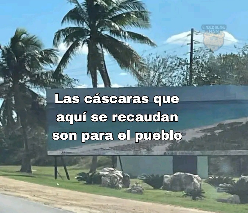 Nadie se había despreocupado tanto por mi