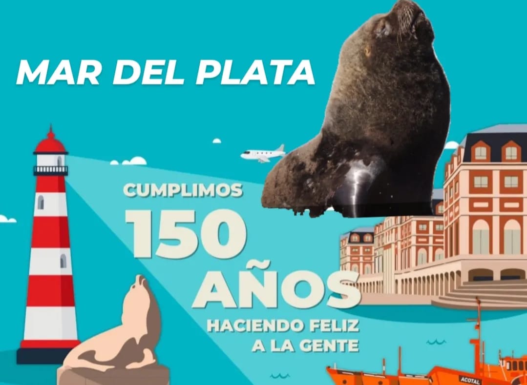 Mamíferos Marinos UNMdP tweet media