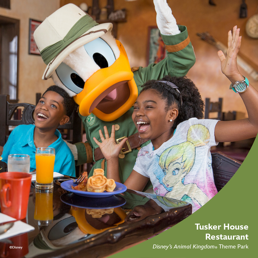 Disney+ Subscribers have 4 more days left to take advantage of the Free Dining Offer at Walt Disney World. Hurry! Contact us toll free at 1-866-207-8387. #magicaltravel #magical_travel #freedining