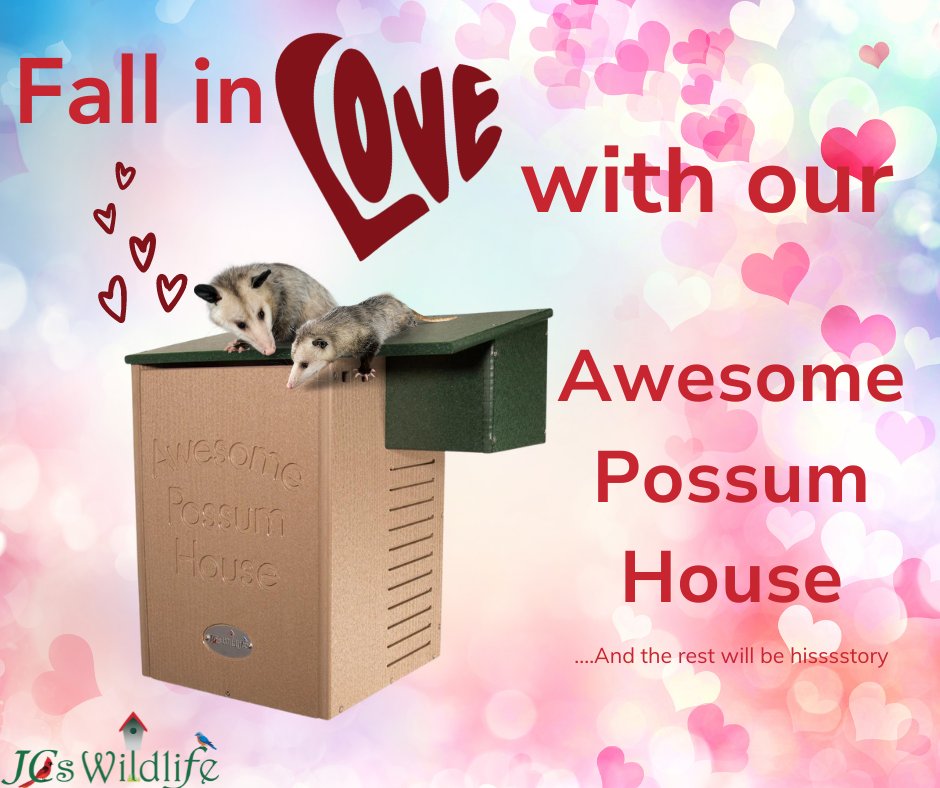 JCsWildlife's tweet photo. Fall in love with our possums! #possumhouse #awesomepossum #jcswildlife https://t.co/A8TuTe5szI