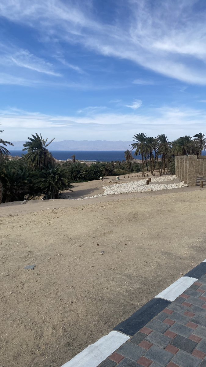 #مقناء في وادي مقنا ، تلتقي أشجار النخيل حول الينابيع الصغيرة (بما في ذلك "ينابيع موسى") على بعد بضعة كيلومترات فقط من الساحل. كما تضخ هذه الينابيع المياه في وادي مقنا الشهير عبر الفتحات الرملية التي تحركها المياه المتدفقة من الأرض