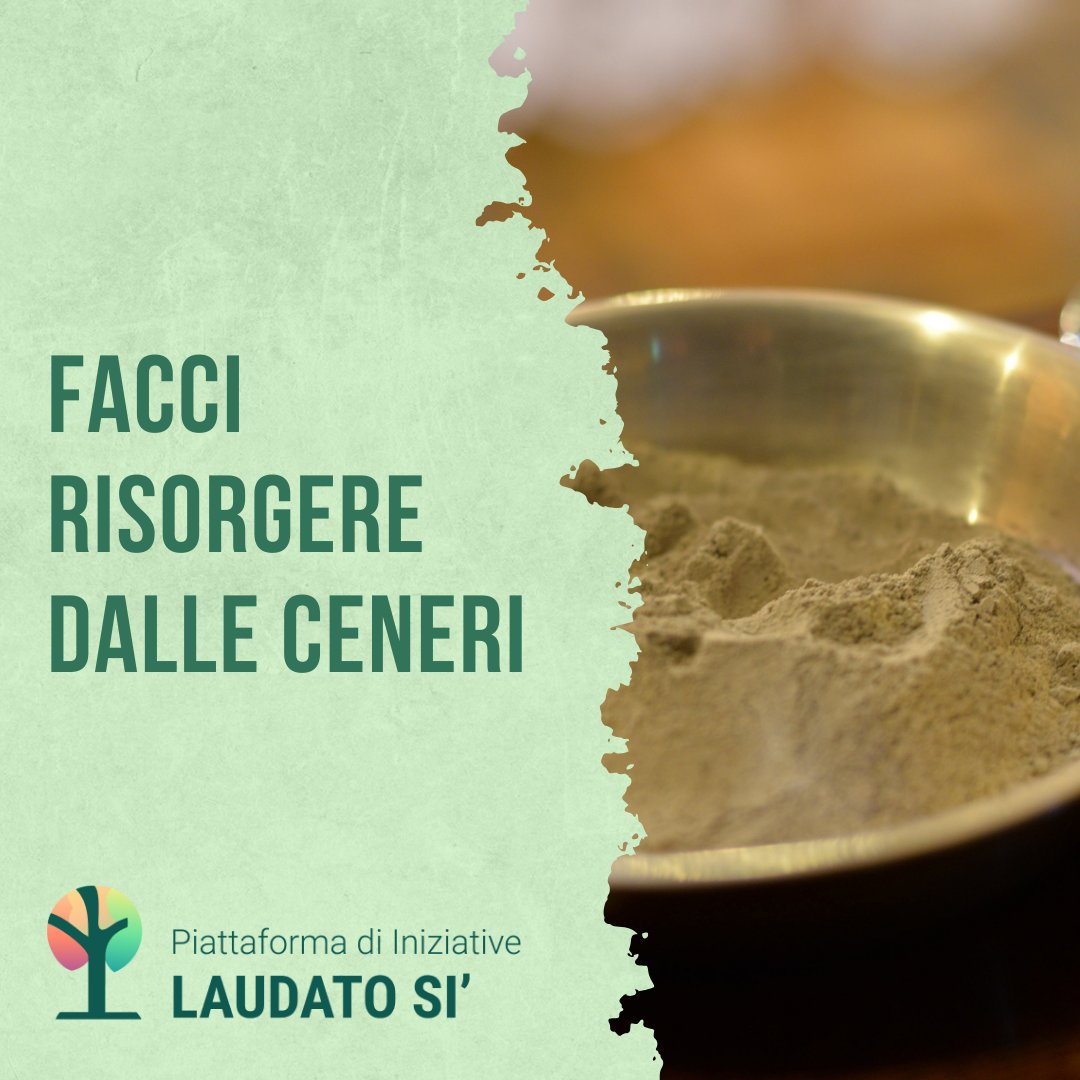 Piattaforma di Iniziative Laudato Si' tweet media