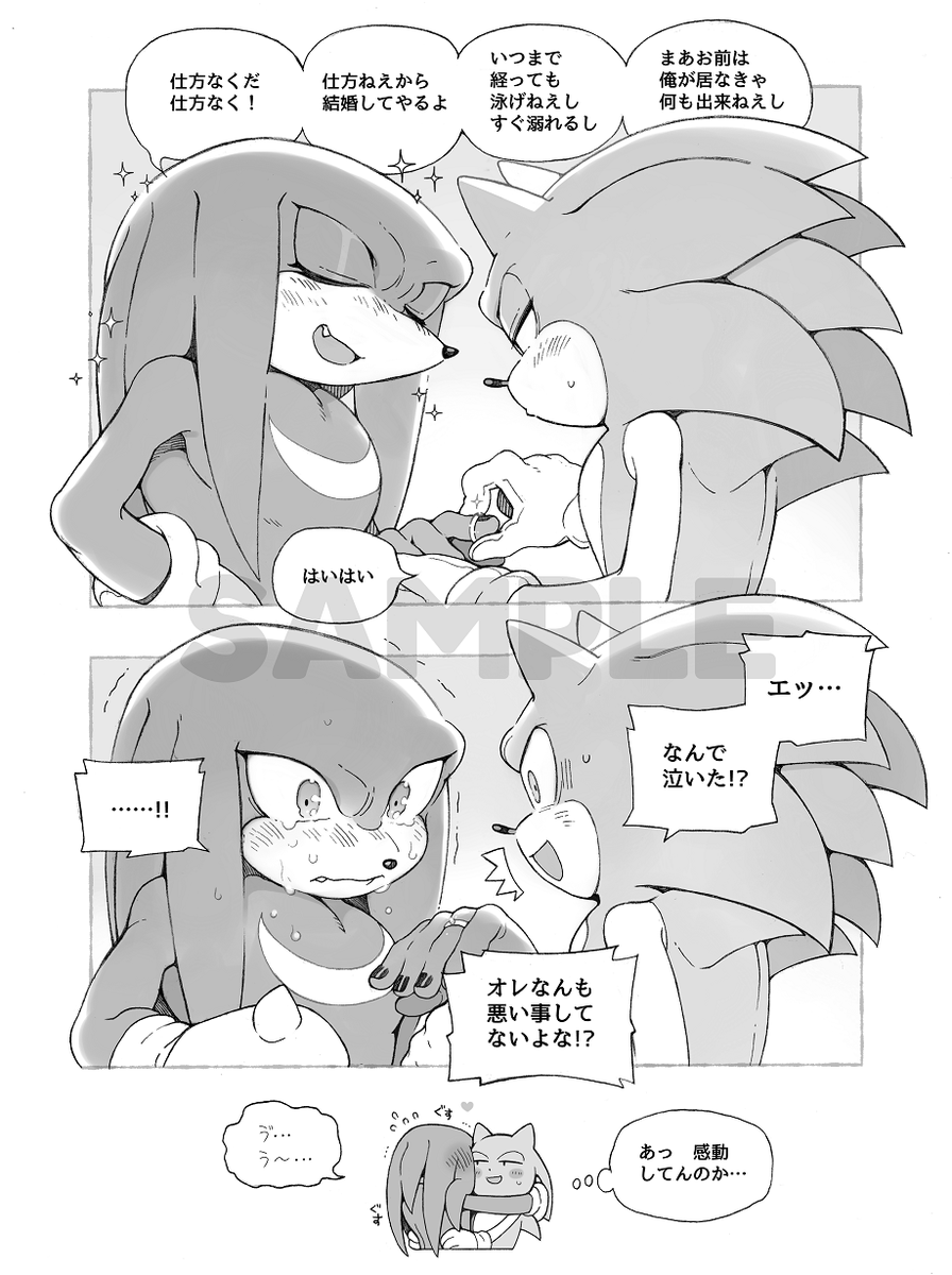 #セゲいち18 頒布物のご案内です🌀(1/3)
①新刊「RED and BLUE 2」

A5/オフセット印刷/70P/900円/全年齢
※イベント後通販開始予定
【検索用:ソニナコ/#sonknux】 