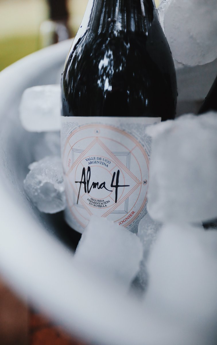 ¿Sabías que el primer espumante Viognier de la Argentina lo hicimos nosotros?

Cuando empezamos, uno de nuestros desafíos fue elaborar espumantes por el método Champenoise a partir de variedades no tradicionales. Viognier fue una de las elegidas porque nos enamoraban sus vinos.