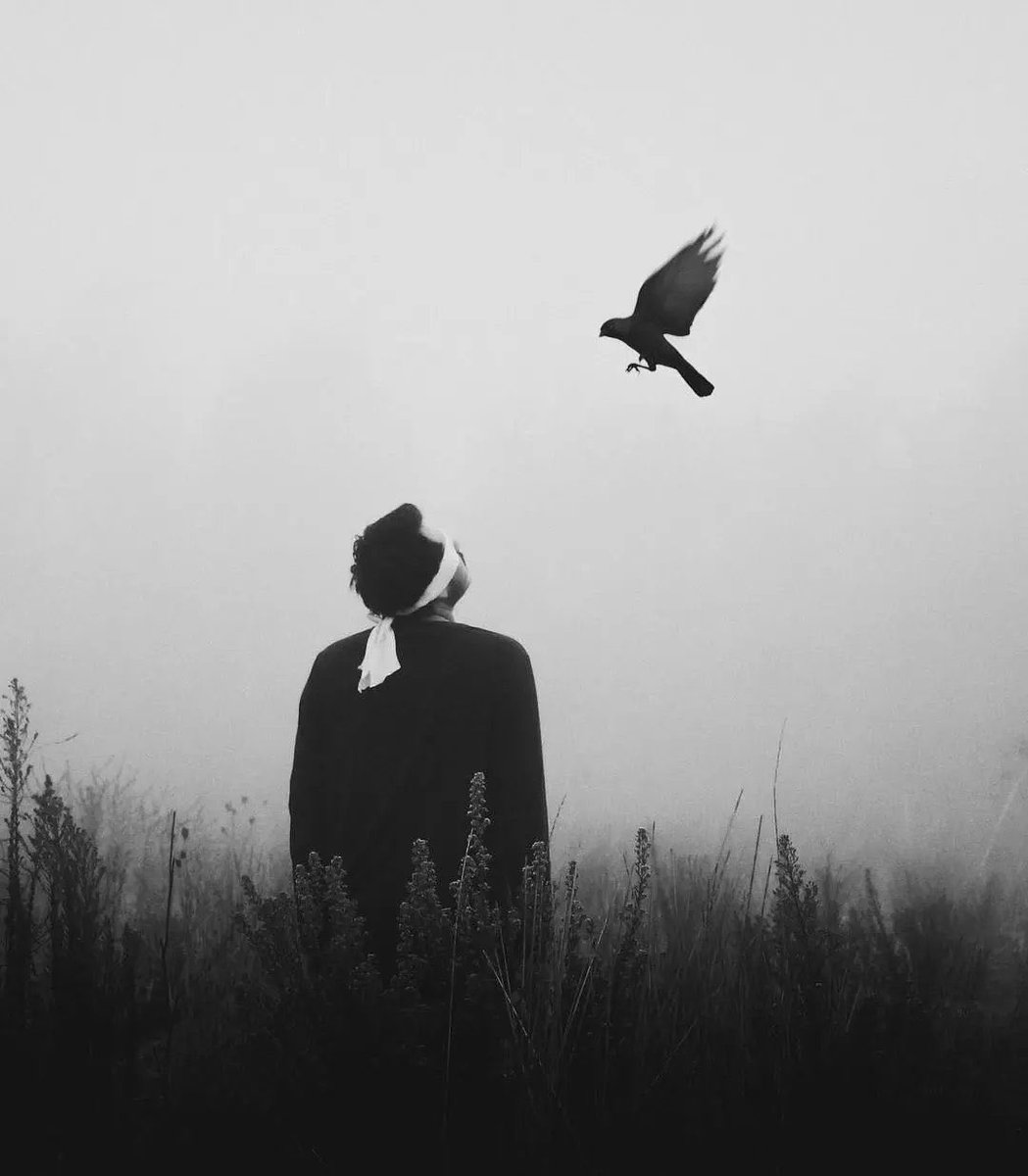 AŞK💕BEYİ💕SERKAN tweet media