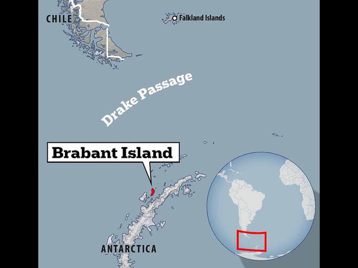 TheNorskaPaul's tweet photo. Our #RoyalNavy sailors been doing their bit to keep the #Antarctic clean with a colony of Chinstrap penguins watching !
The crew of polar research ship #HMSProtector removed three tonnes of waste from Brabant Island left by expeditions in the 1980s.
The #OneTonneChallenge was issued by First Sea Lord, Admiral Sir Ben Key & instructs sailors to remove one tonne of rubbish from a beach when off-duty.🐧