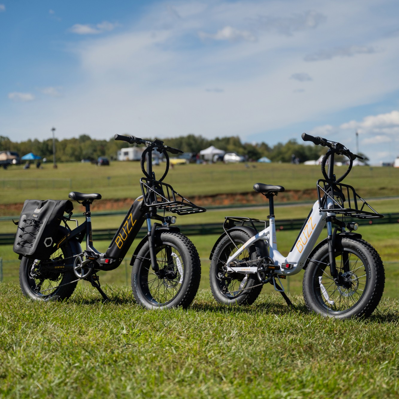 Buzz ebike sale