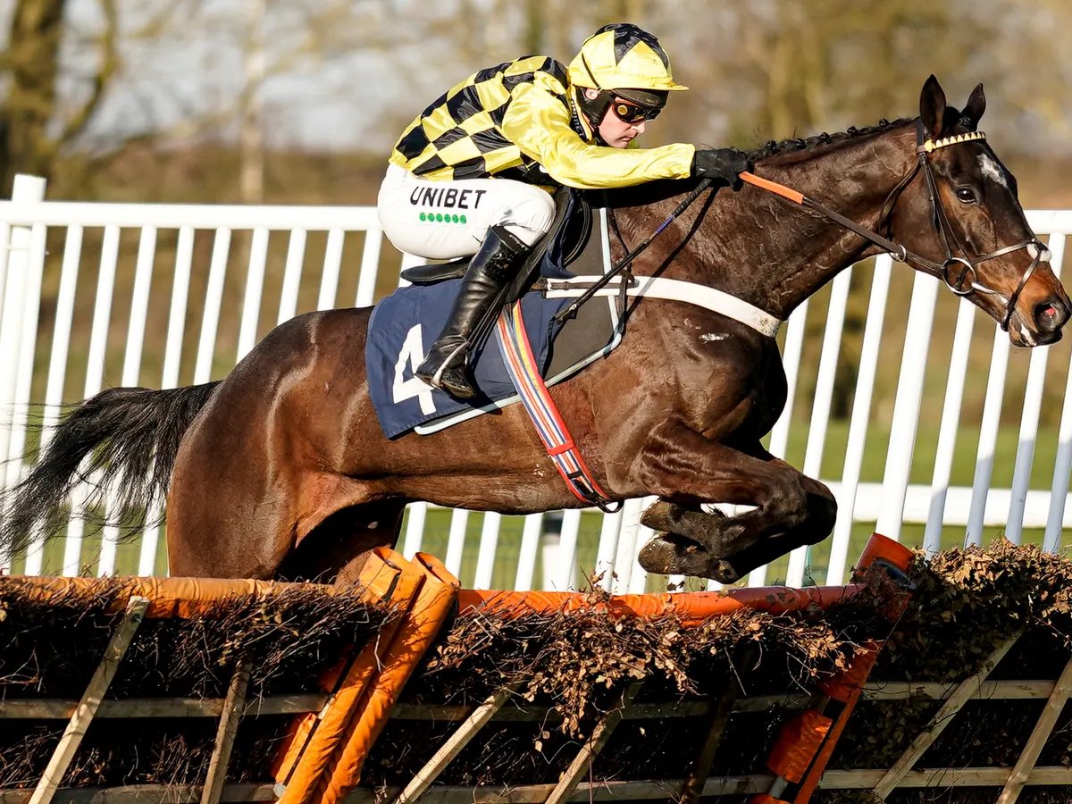 MrRootlessGroup's tweet image. Shishkin runs Tomorrow
at Newbury in the 14:05 Grade 2 Denman Chase 

Will the 6 time Grade 1 Winner get back to Winning ways ?

He is Currently 7/1 to win The Cheltenham Gold Cup 2024

#HorseRacing #CheltenhamFestival