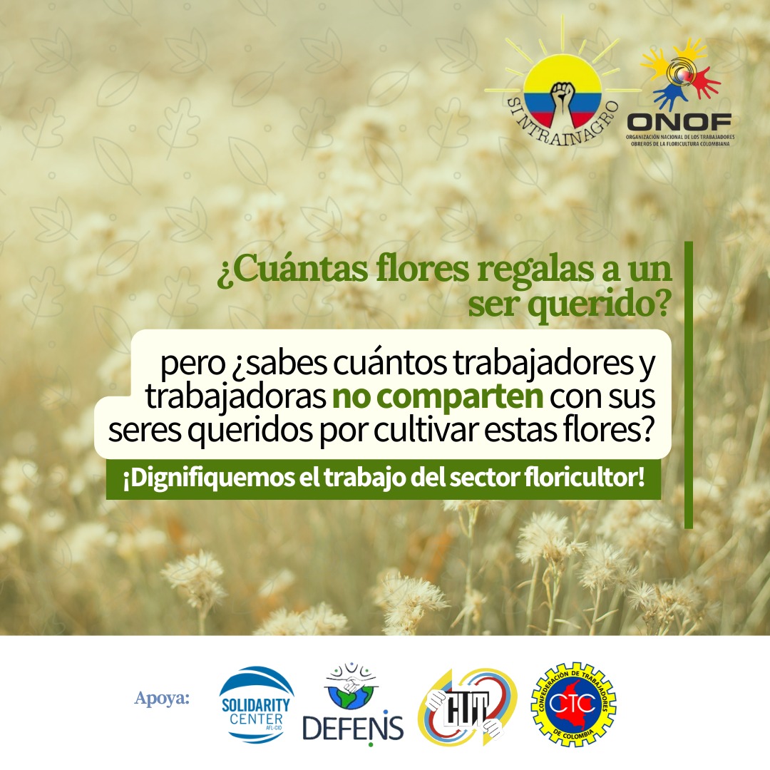 Redaloficial's tweet photo. ¿Sabes qué se conmemora el 14 de febrero? 💐 Las y los trabajadores de las flores en Colombia han tomado este día para alzar su voz y exigir mejores condiciones laborales. ✊🏻👨‍🌾

#TrabajoDecente #SectorFloricultor #TrabajoDigno #14DeFebrero 

@SintrainagroNal #ONOF https://t.co/nVrDib3XaS