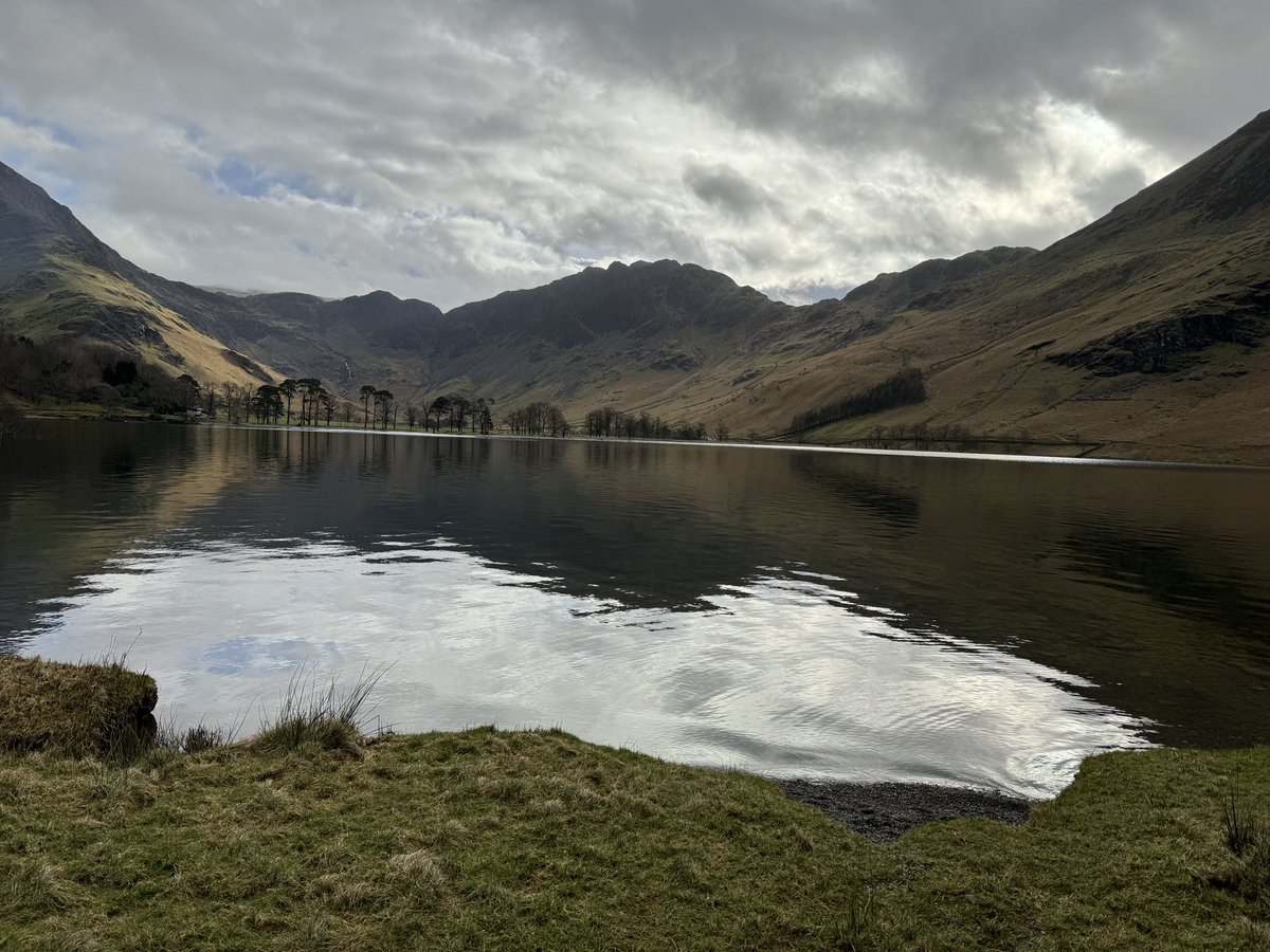 Myles Taylor tweet media