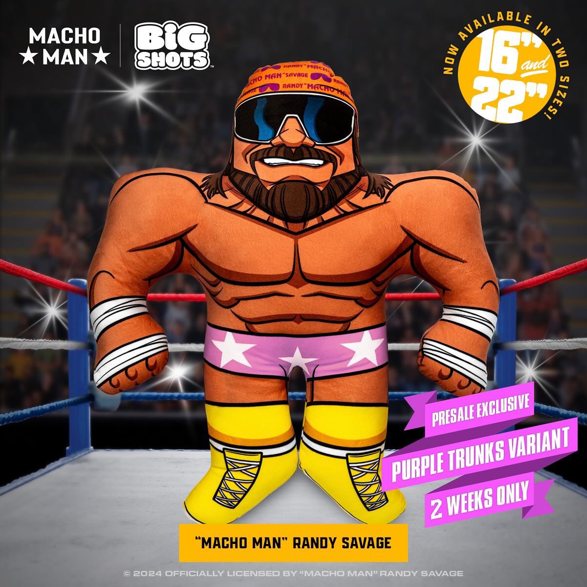 Nolanium's tweet photo. Macho Man Randy Savage is now available for pre-order at https://t.co/YOIrQW0jgW
#machoman #randysavage #wrestling #WrestlingCommunity #prowrestling #getbigshots https://t.co/XZKxeLukkM