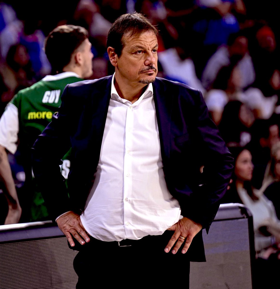 Ergin Ataman📍 

Sözün Özü. 

Avrupa Basketbolunun Tartışmasız En İyi Koçu..
#Euroleague 
#paobcaktor 
#PAOFans 
#WeTheGreens