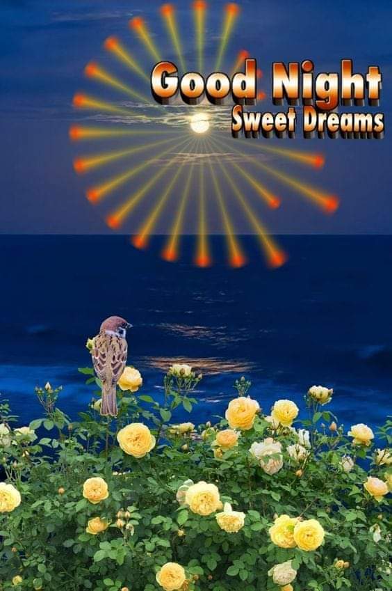 Good Night Sweet Dream Sleep Well Rab Rakha Relxing Night 🌙 @AndriyAndr69858 @amansi24 @deidredha @ShubhdeepS86319 @SashiSimhan @Madhusudan222 @breena_fairy @Happydhillon47 @Harjind09097292 @Vinnie2356 @Reynaldocabel17 @PaulThomy @BayiKelly @arorafbd