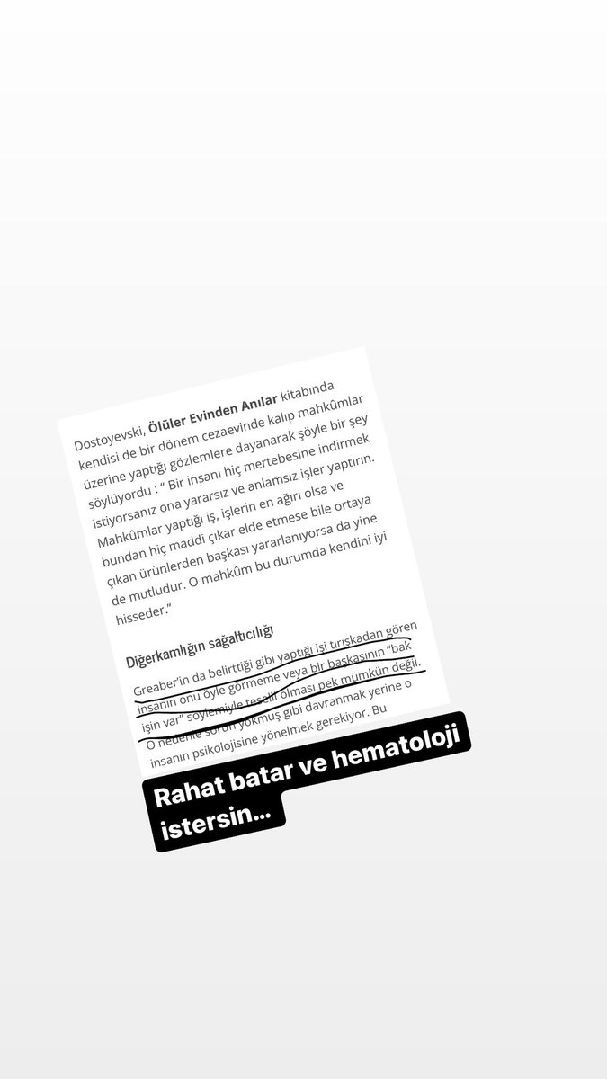 Tuba GÜLLÜ KOCA🐞 (@twoba16) on Twitter photo 