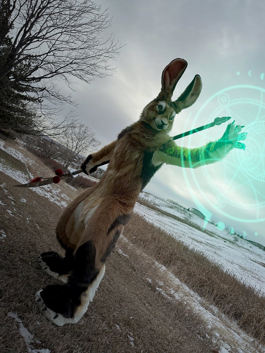 Marche the Adventure-hare ➡️ 🦋 tweet media