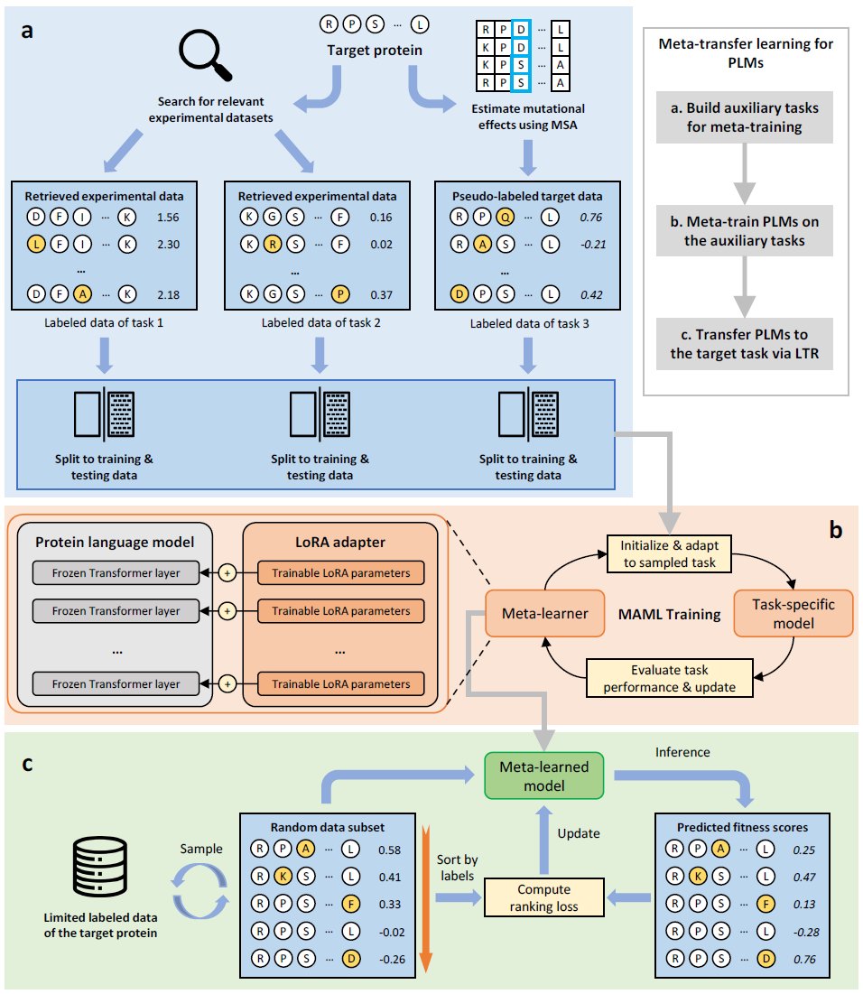 "Enhancing the efficiency of protein language models with minimal wet-lab data through few-shot learning" arxiv.org/abs/2402.02004 1/
