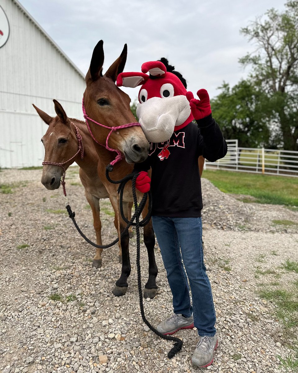 Snouts out, it's Friday! 🤘 Mo and our mules are joining us to wish you a great weekend!