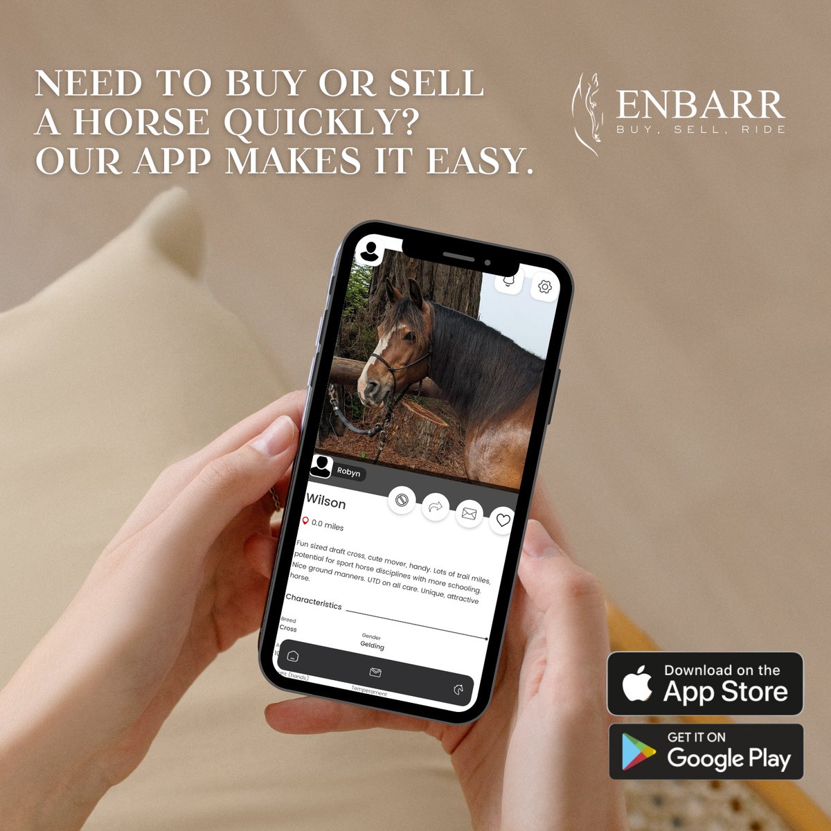 EnbarrApp's tweet photo. Need to buy or sell a horse quickly?

Download ENBARR now to experience a hassle-free platform that connects buyers and sellers, facilitating swift transactions without compromising on finding the right match for you &amp; your horse.

🧲 Download ENBARR now!

#ENBARR #HorsesForSale https://t.co/vi5OK3Fhkl