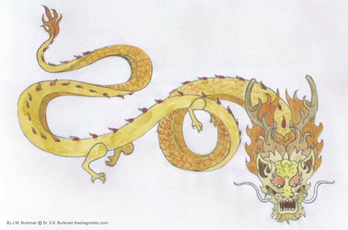 Dr S K Burkman: The Dragon Doc tweet media