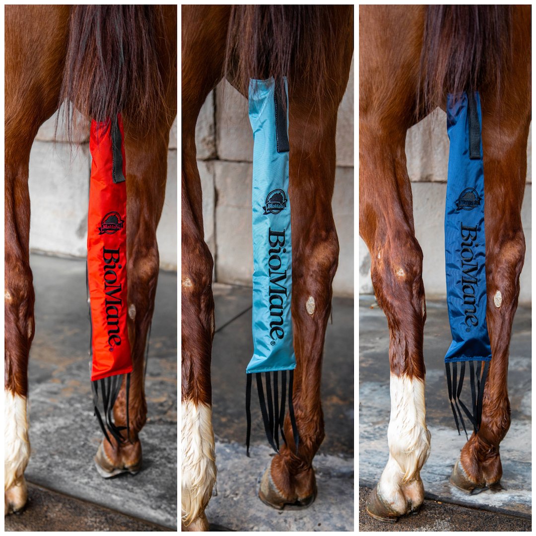 BioManeProducts's tweet photo. 3 NEW TAILBAG COLORS HAVE ARRIVED! We’re excited to announce that our tailbag collection now includes: Red, Baby Blue, and Navy Blue! ❤️🩵💙 https://t.co/WA4saRusrN