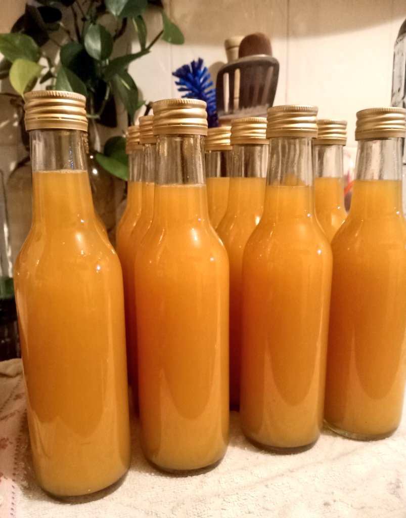 Time check 1:09am I can finally clockout 

The amount of work that goes into producing a batch of the mango chilli kombucha is INSANE and almost backbreaking but I love my work 🥹🥹😭