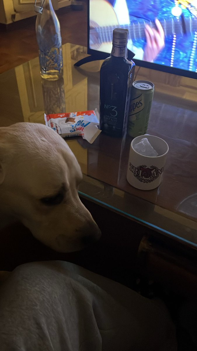 armijinho's tweet photo. #somosmáscarnaval desde Costa Rica con Cádiz y Triana. Vivan los perros comparsistas !!! https://t.co/WAd3kO8uBi