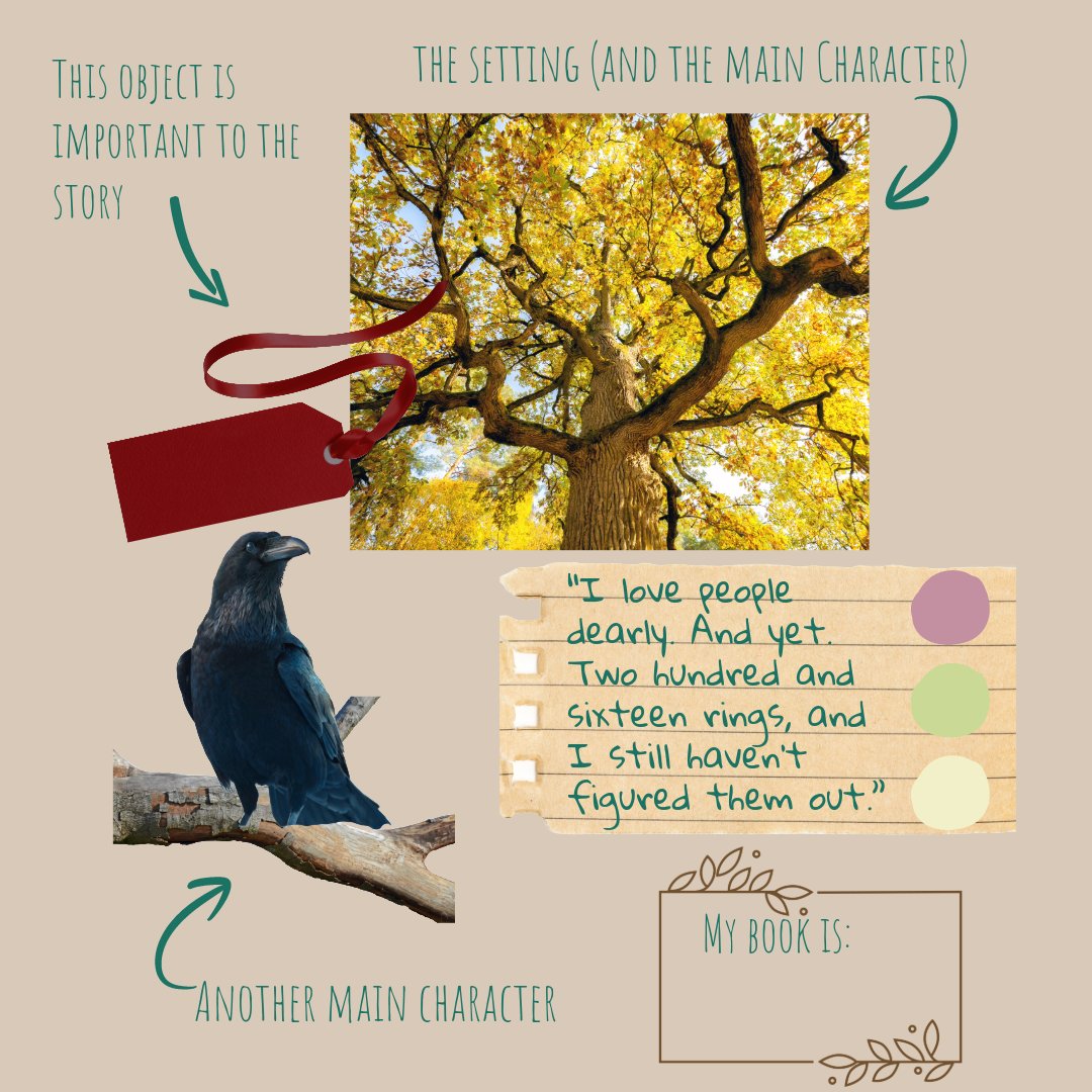 Alicia Schrank tweet media