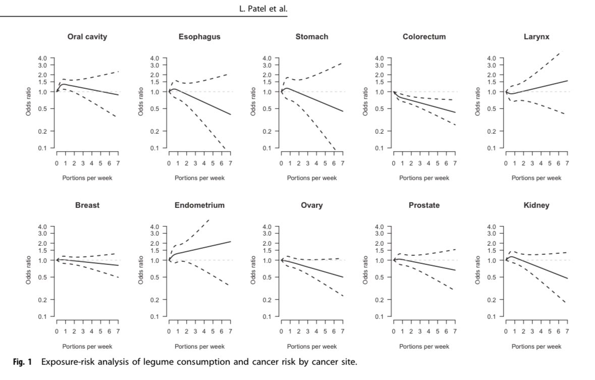 Beatriz Gros tweet media