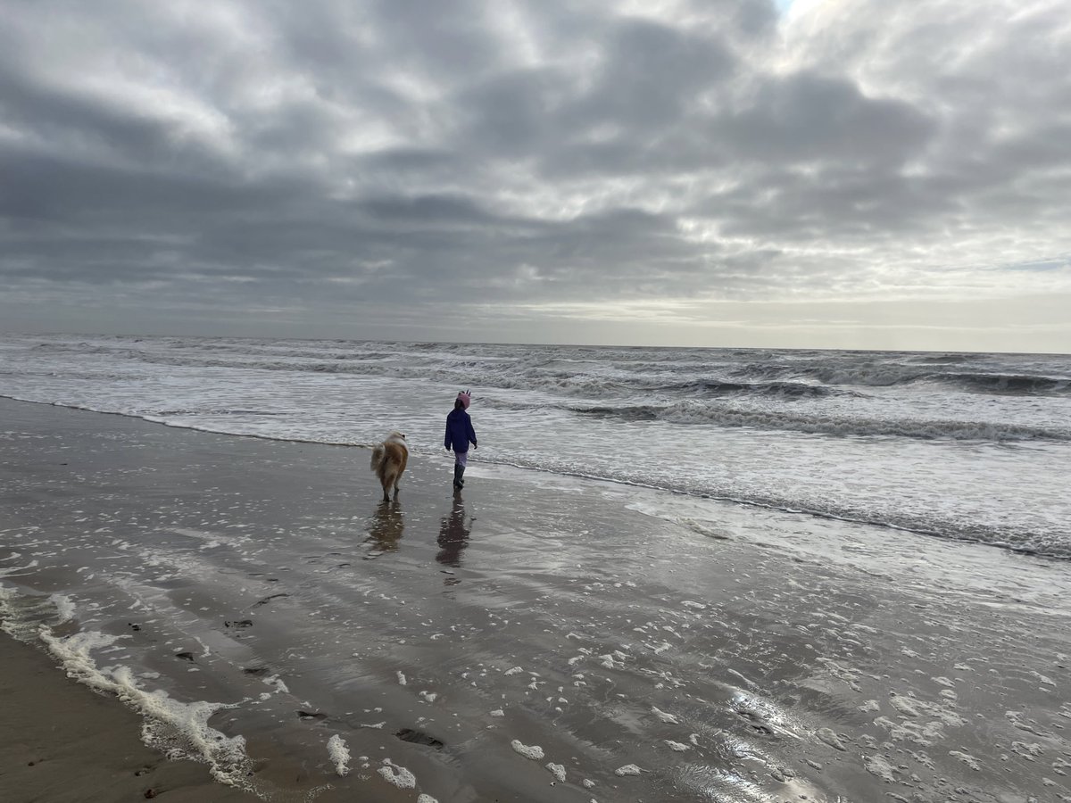 fleetstreetfox tweet media