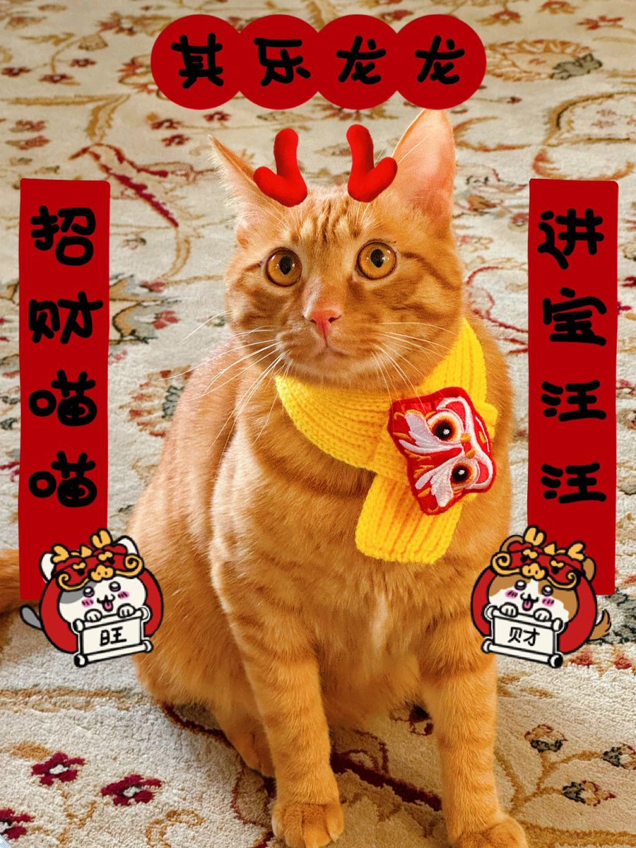 我的🐱和我祝大家龙年大吉！万事兴龍！Happy year of the dragon! I don’t think he’s a fan of this collar. After the photo he left it in his litter box. 🤷‍♂️