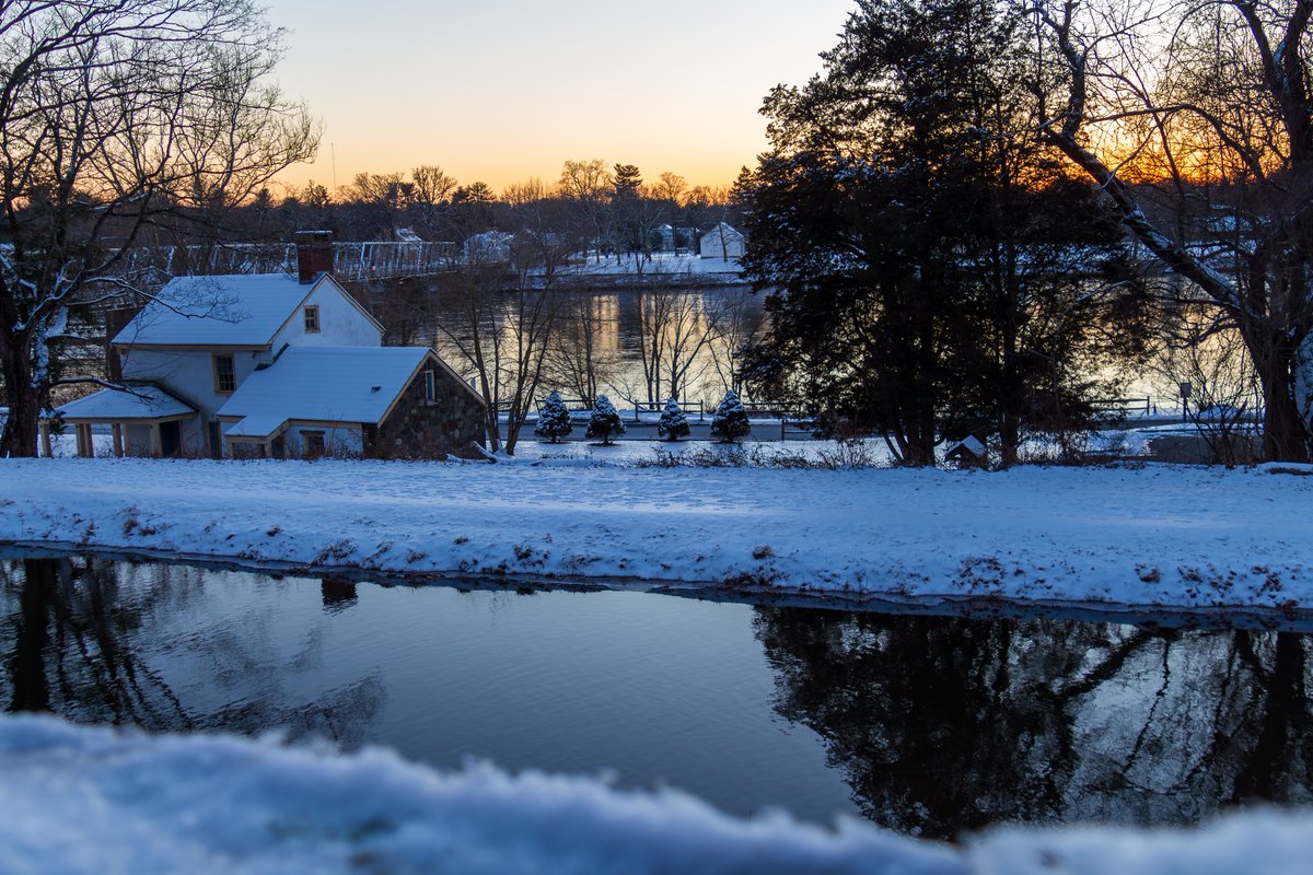 BodoThePunny's tweet image. #FrameItFriday