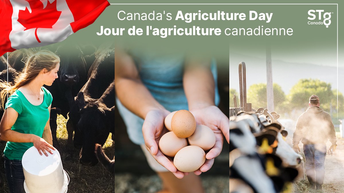 Le 13 février 2024 est le Jour de l’Agriculture Canadienne! Farmers play a crucial role in feeding our nation, people around the globe and maintaining a strong economy! Thank you farmers!
#CdnAgDay #STgenetics #STgeneticsCanada #DairyFarming #AgDay2024