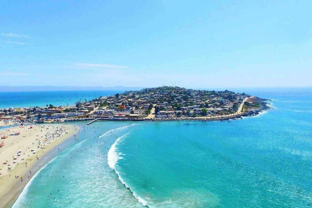 #Elqui Científicos detectan ola de calor marina en la Región de #Coquimbo podría haber aumento de fragatas portuguesas y llegada de peces exóticos
▶️ qrcd.org/4QHl