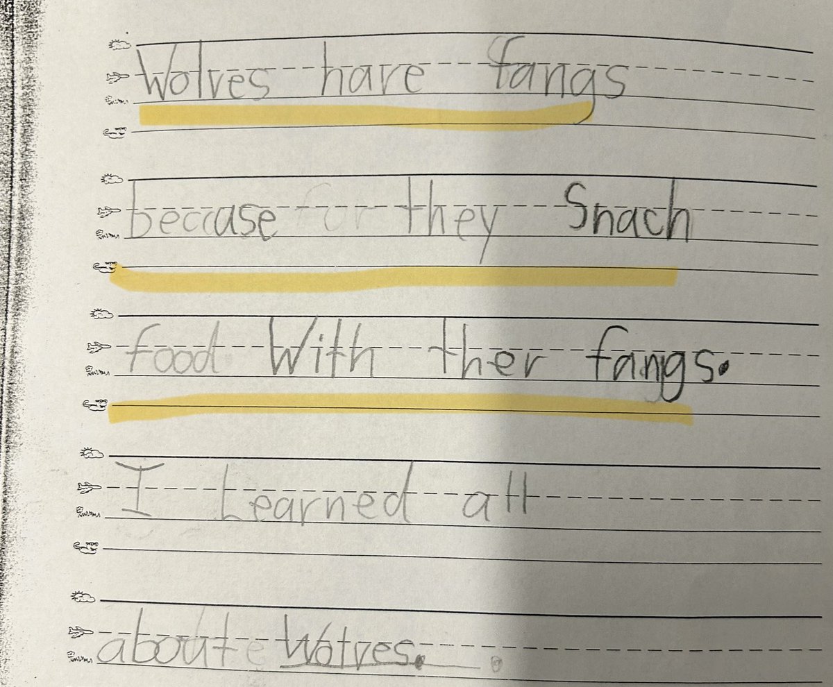 Taylor_SOR's tweet photo. Here’s an example of a first grader applying “juicy” sentence strategies to her writing! 🧃

1️⃣ Identify key words about wolf adaptations
2️⃣ Key words ➡️ full sentences (Who? Did what? Why/How?)

It’s GREAT to see Ss internalizing syntax strategies 🤩 (independently too👏🏻) https://t.co/Q10l1HyBUJ