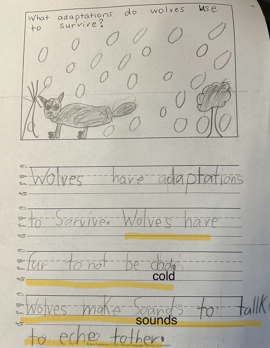Taylor_SOR's tweet photo. Here’s an example of a first grader applying “juicy” sentence strategies to her writing! 🧃

1️⃣ Identify key words about wolf adaptations
2️⃣ Key words ➡️ full sentences (Who? Did what? Why/How?)

It’s GREAT to see Ss internalizing syntax strategies 🤩 (independently too👏🏻) https://t.co/Q10l1HyBUJ