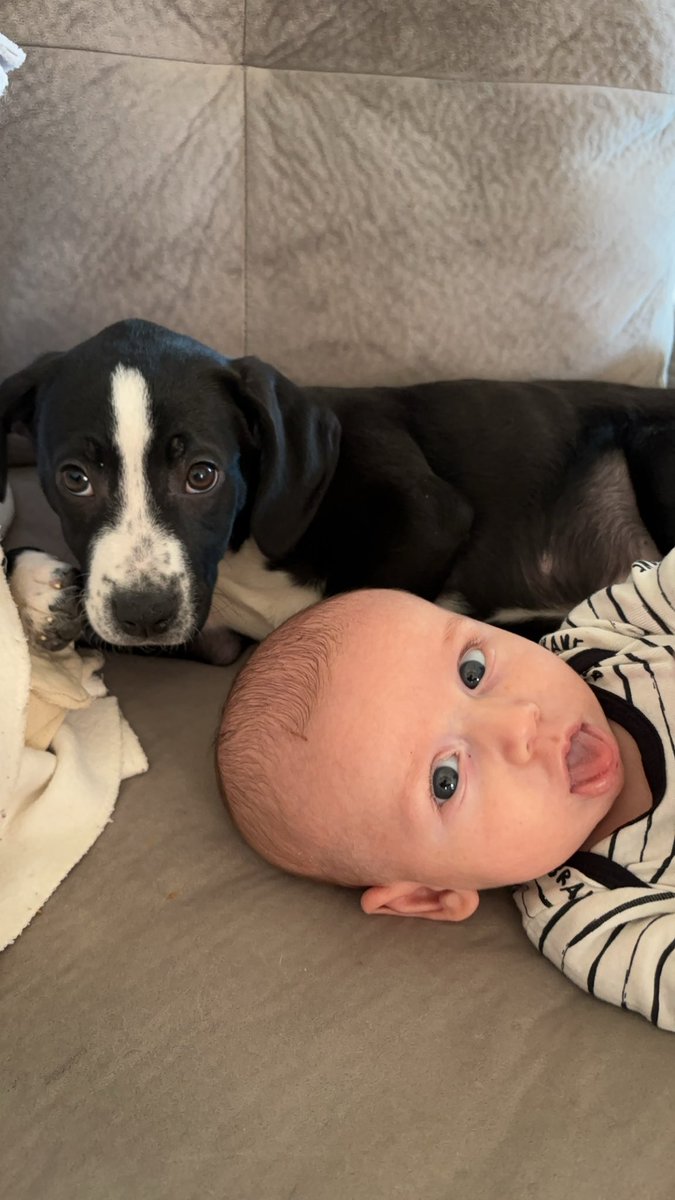 Talley_US's tweet photo. Braxton and Molly new best friends! https://t.co/L2PW0m60GN